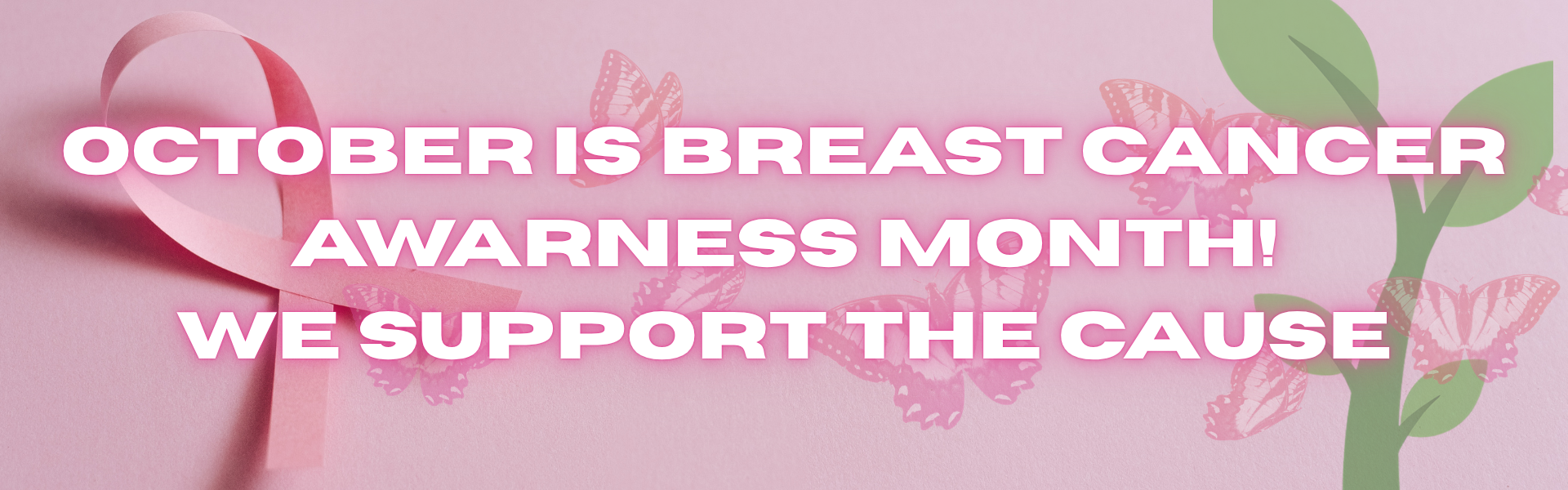 Breast Caner Awareness Month!